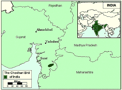 chodhara.gif